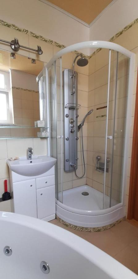 Apartmán Apartament Kasztanowy Hlivice Exteriér fotografie